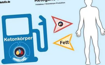 szénhidrátokat