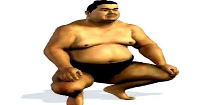 sumo