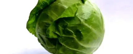 varză