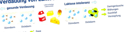 tratament