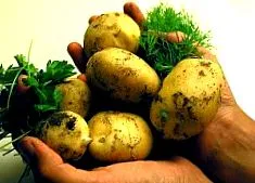 scăzut dieta