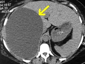 clinica