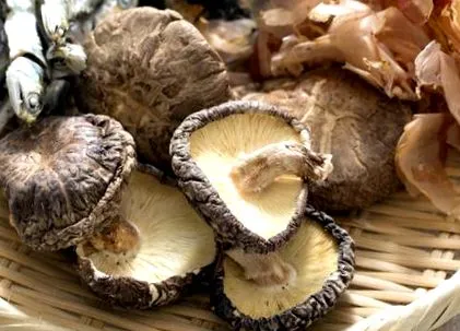 fogyókúrás
