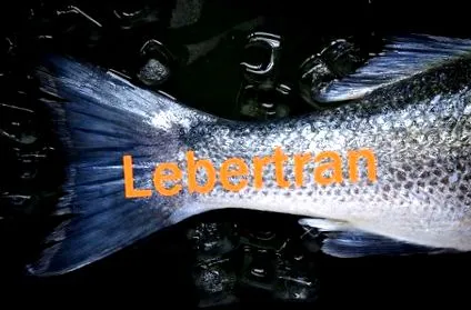 ulei