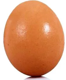 vagy