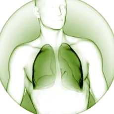 pulmonar