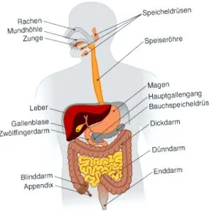 viszera surgery