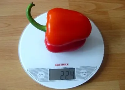 teszi