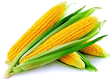 alimente