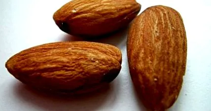 mandulatej