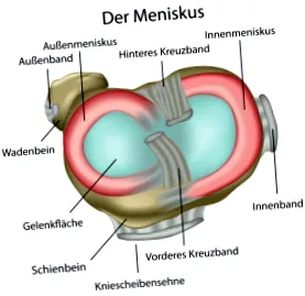 meniscului metodele