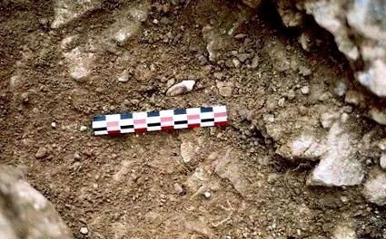 neandervölgyiek