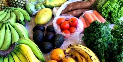 paleo folosind