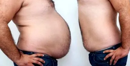 zsír