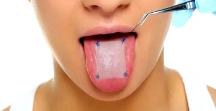 nyelv