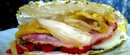 fermentate