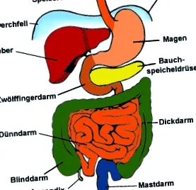medicină medicină