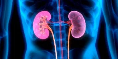 nephrectomia