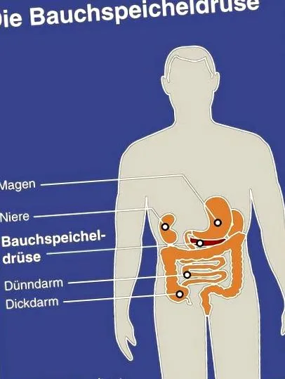 pancreasului