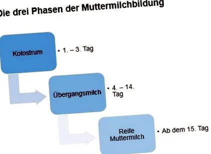 multi-mam