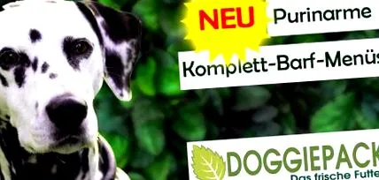 purină