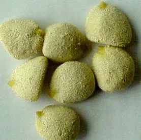 túlsúlyos
