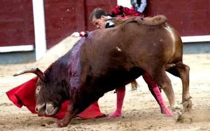 javier