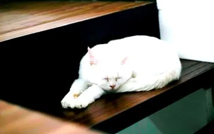 мотивация