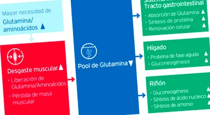 https unidosporlanutricionclinica