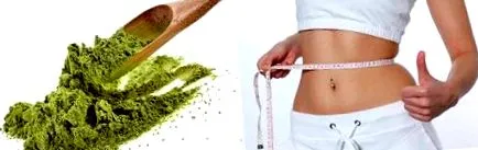 moringa