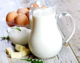 lacto-ovo