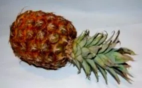 arra utalok
