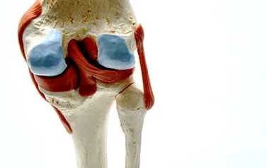 osteochondrosis