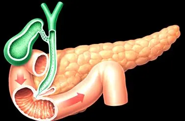 pancreatic