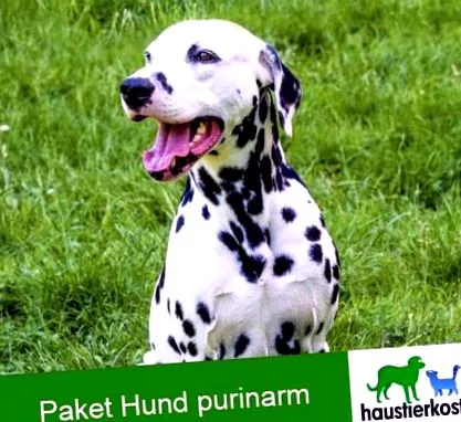 purinarm