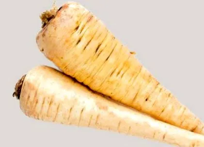 paszternák