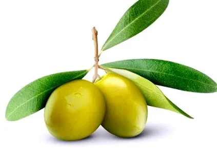 alimente