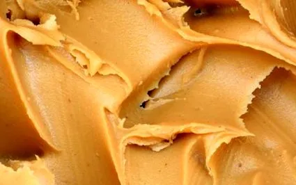 ketogén