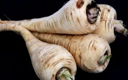 păstârnac
