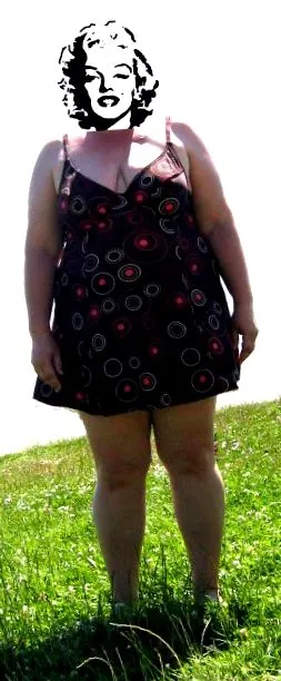 fázis