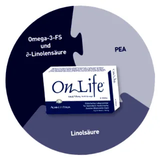 onlife