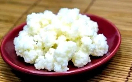candida