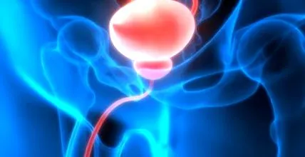 prostată prostată