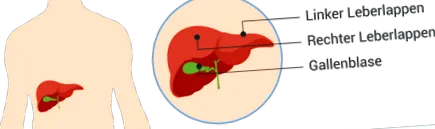 ajutor