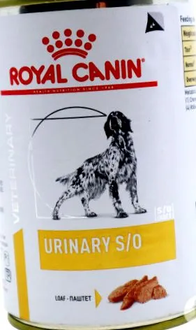 veterinary