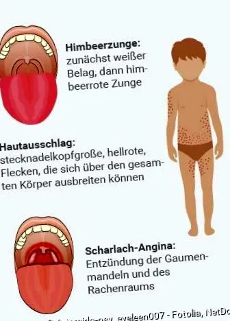 netdoktor