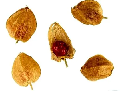 natură