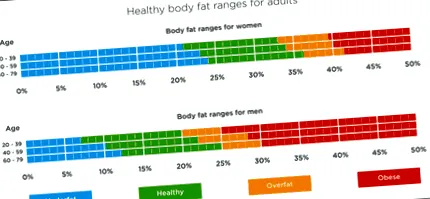 metabolică bazală