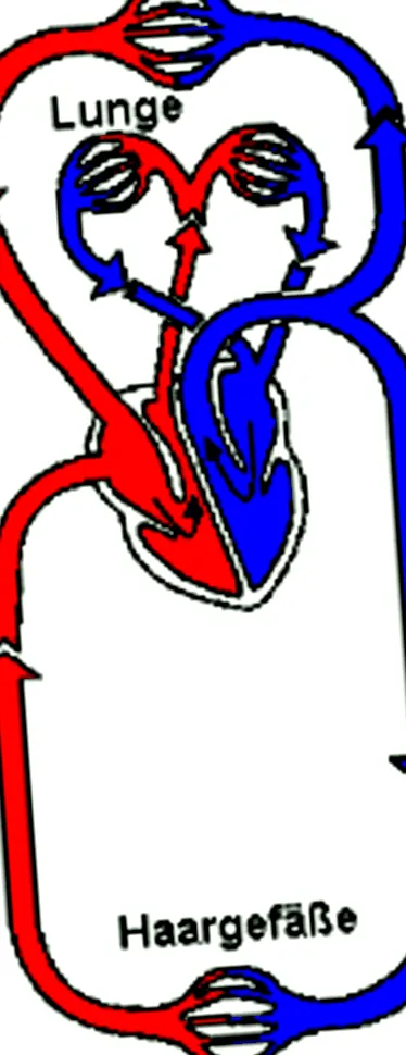 súlyos