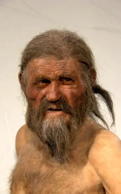 ehetek